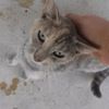 trinityperez56